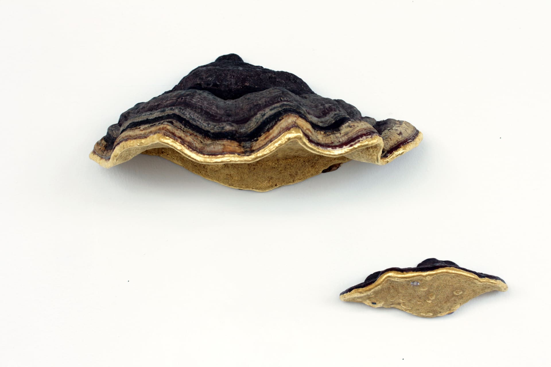 Jo Coupe, Femmerist, 2019