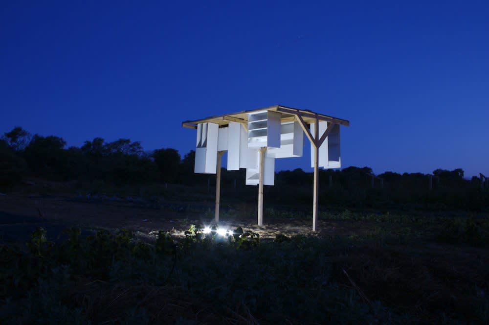 Miles Thurlow, Morro, 2007