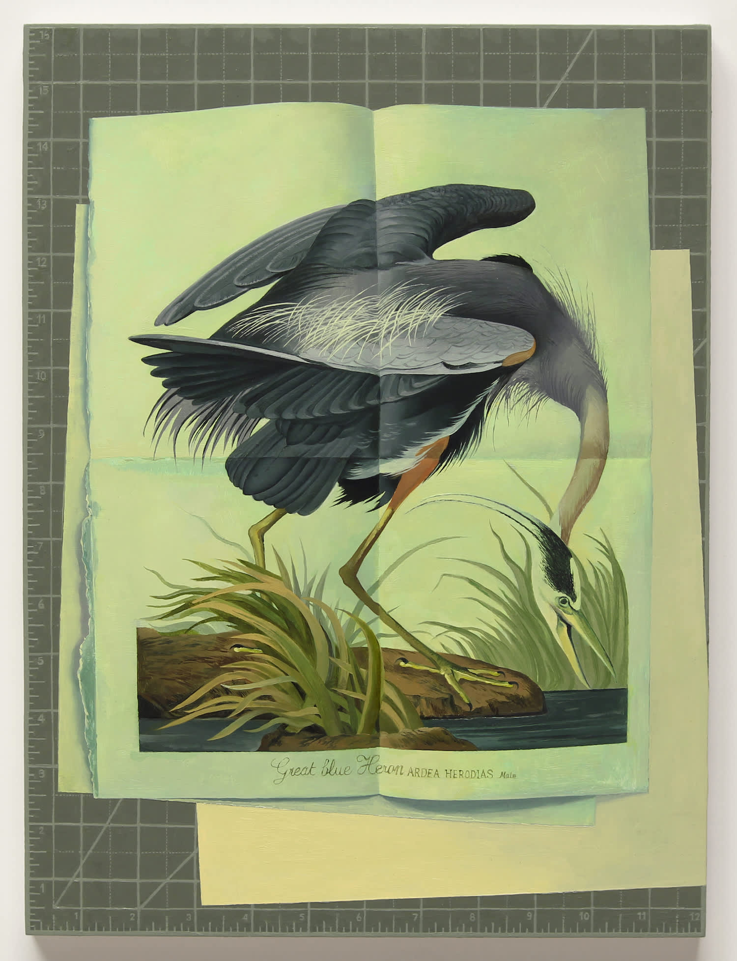 Olivia Jia, great blue heron, 2017