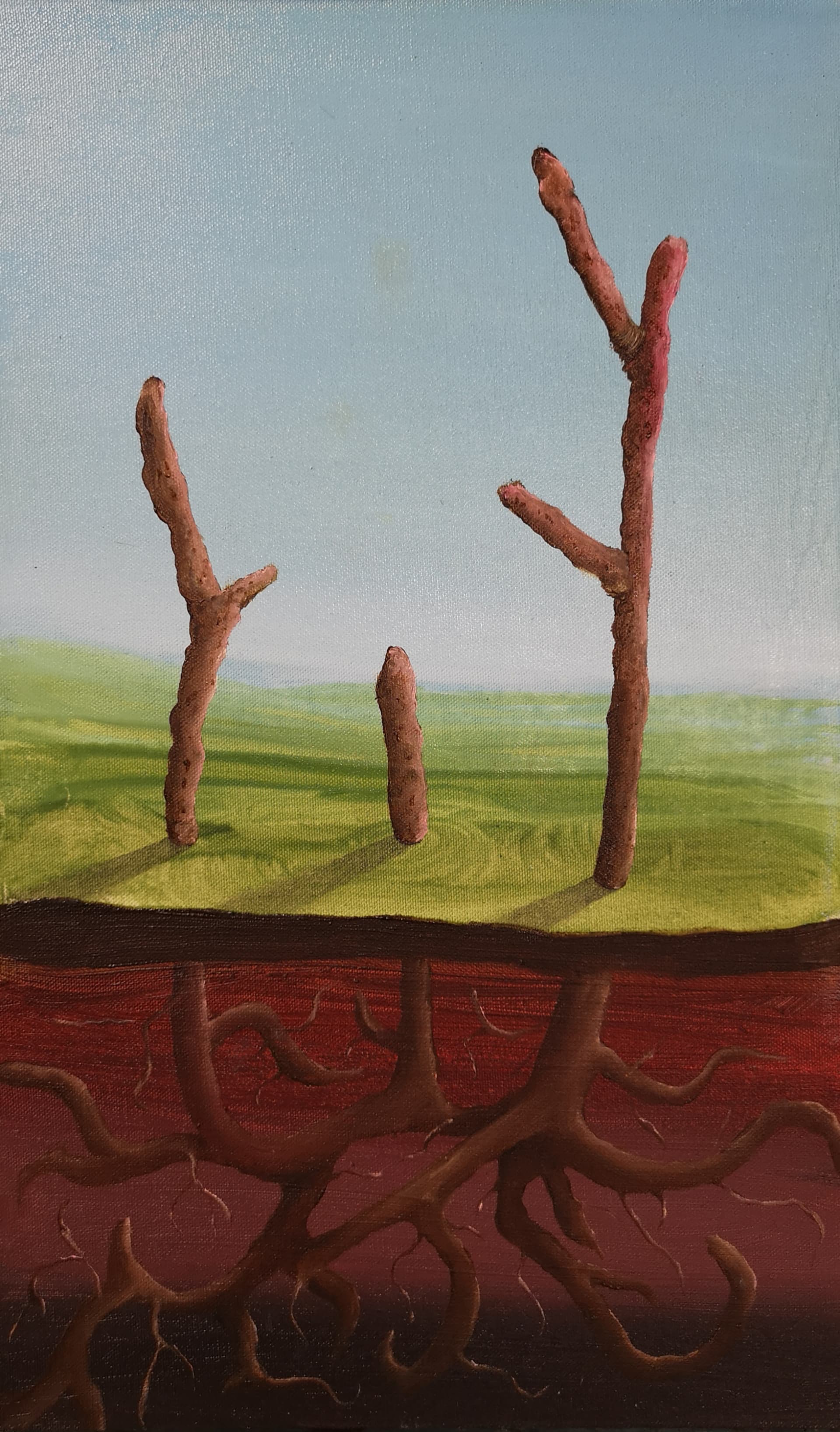 Parham Ghalamdar, On the edge of the spring 50x30cm Oil on canvas, 2019