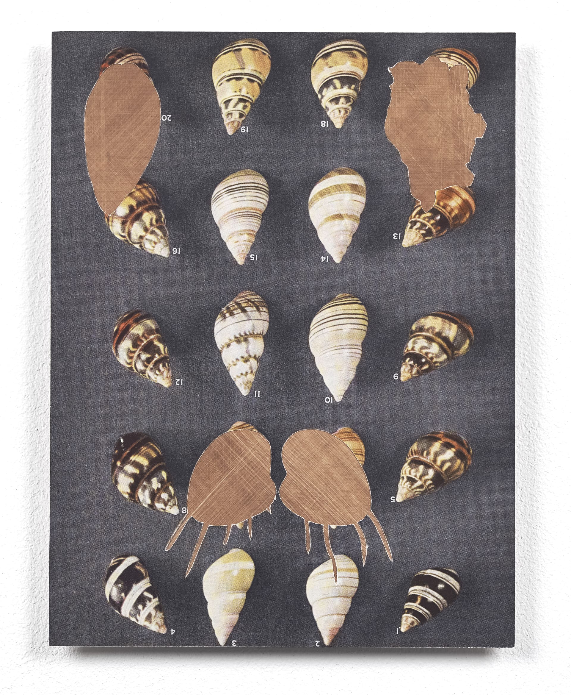 Paul Merrick, In The Dance Of The Skeletons #35, 2019