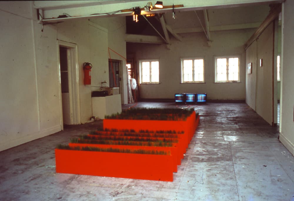 Paul Moss, Winner Takes All, 2000