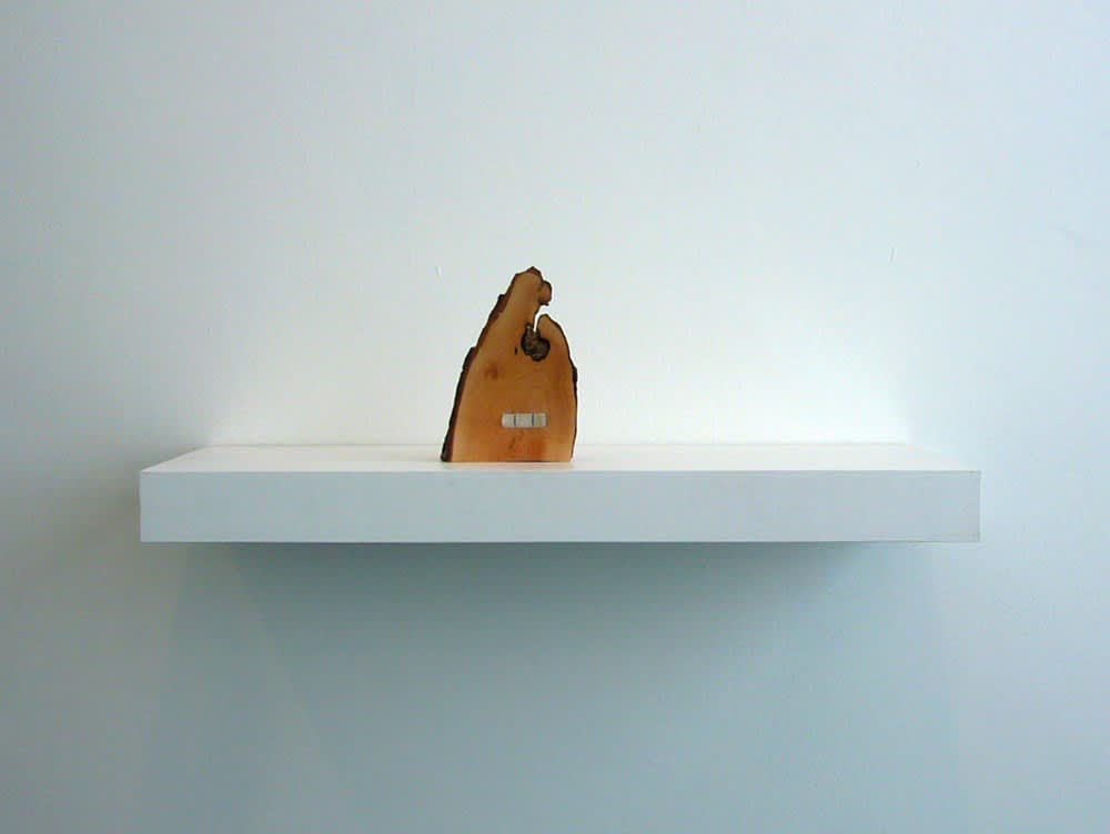 Peter J. Evans, The Hart of the Wud, 2008