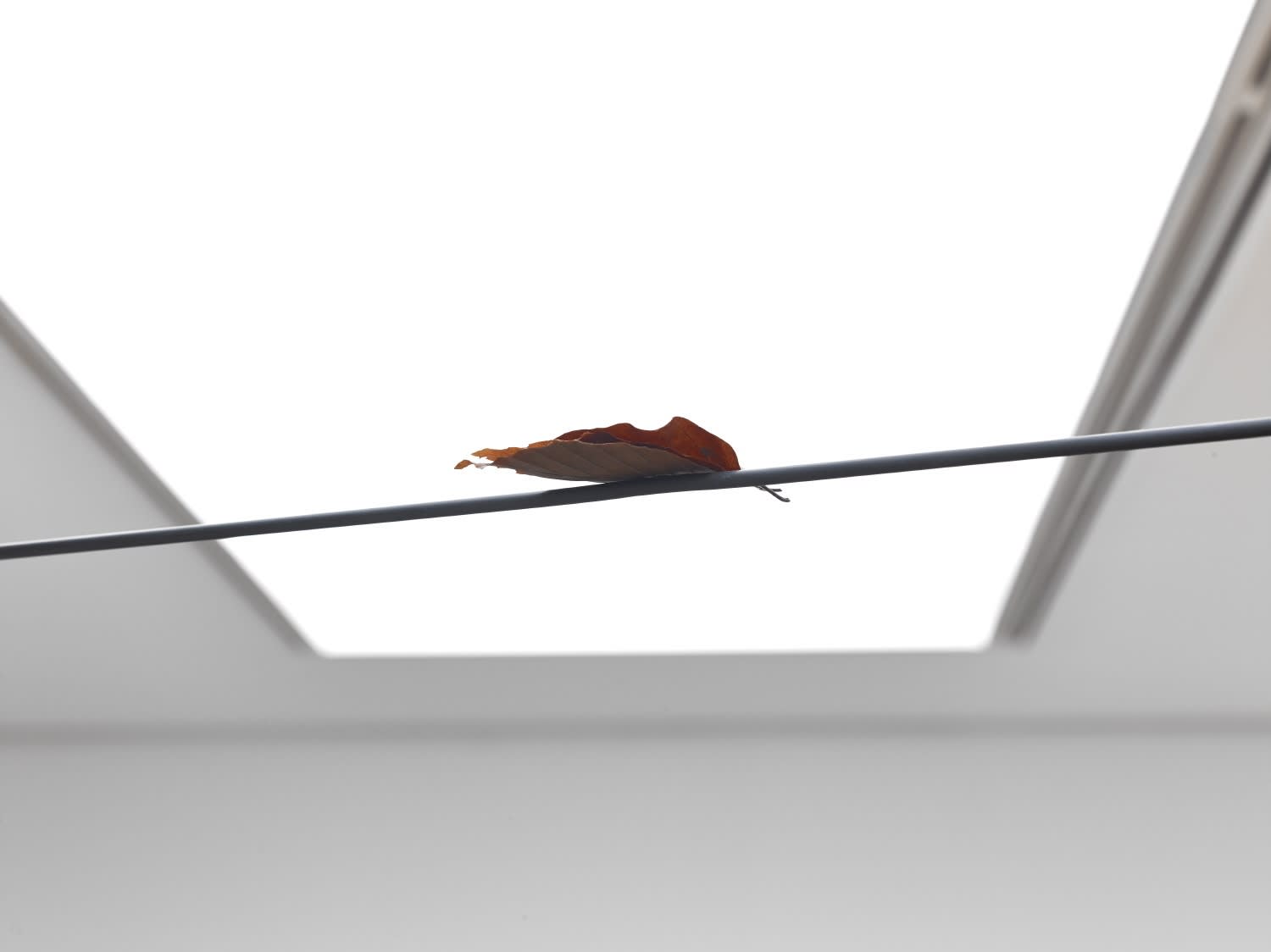 Richard Rigg, Song, 2014