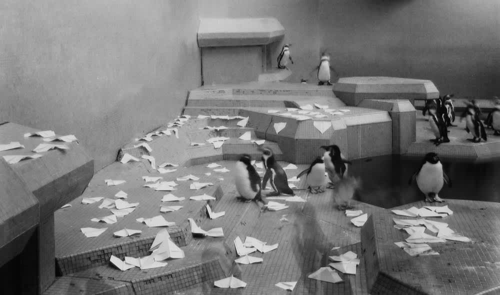 Wolfgang Weileder, Penguins