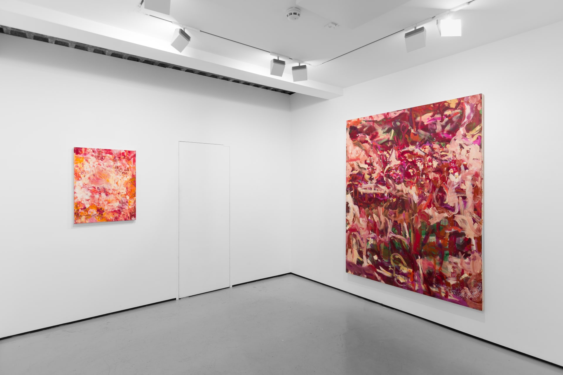 Installation Views of Isabella Amram - Focus at Workplace London