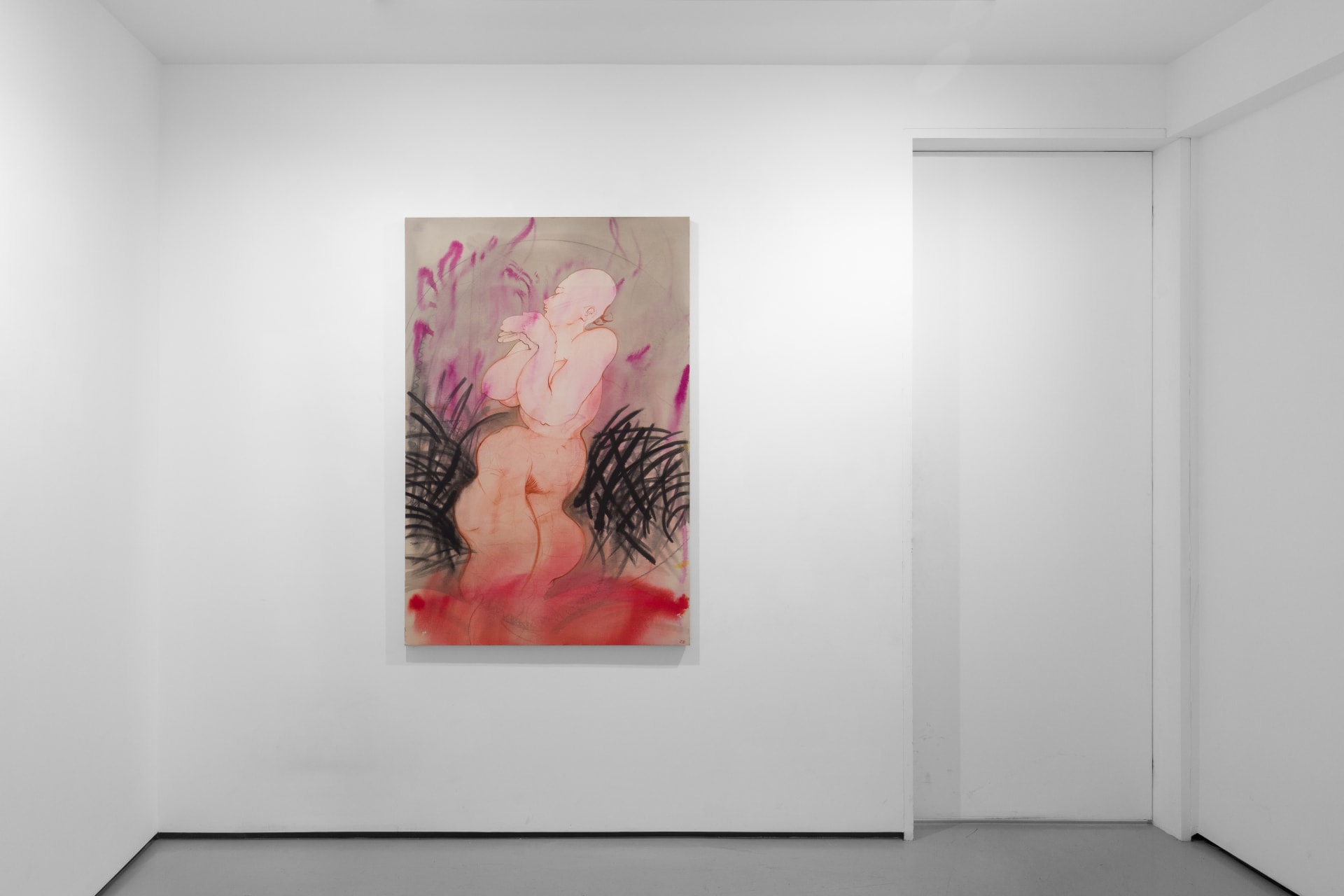 Installation view of Focus: Zoe Spowage