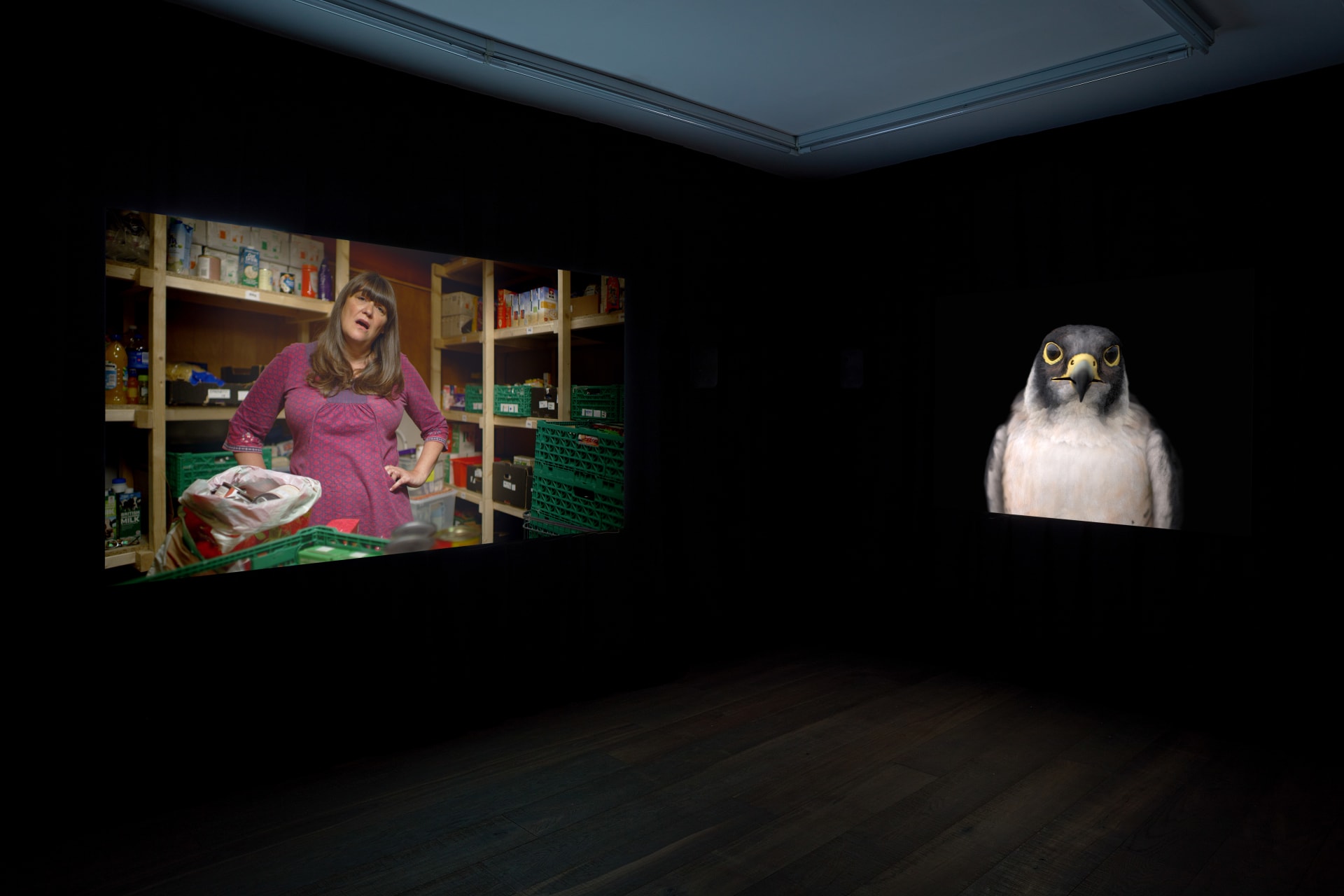 Installation photographs of Matt Stokes' exhibition 'This Liberty' at Workplace | London