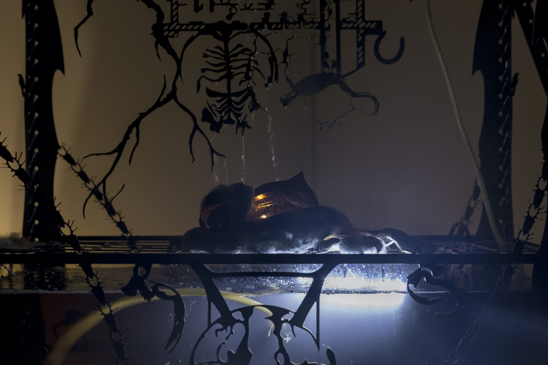 An installation by Hazel Brill including a water tanks filled with a dark liquid laser cut steel dividers, mouth-blown glass objects, projections and lights