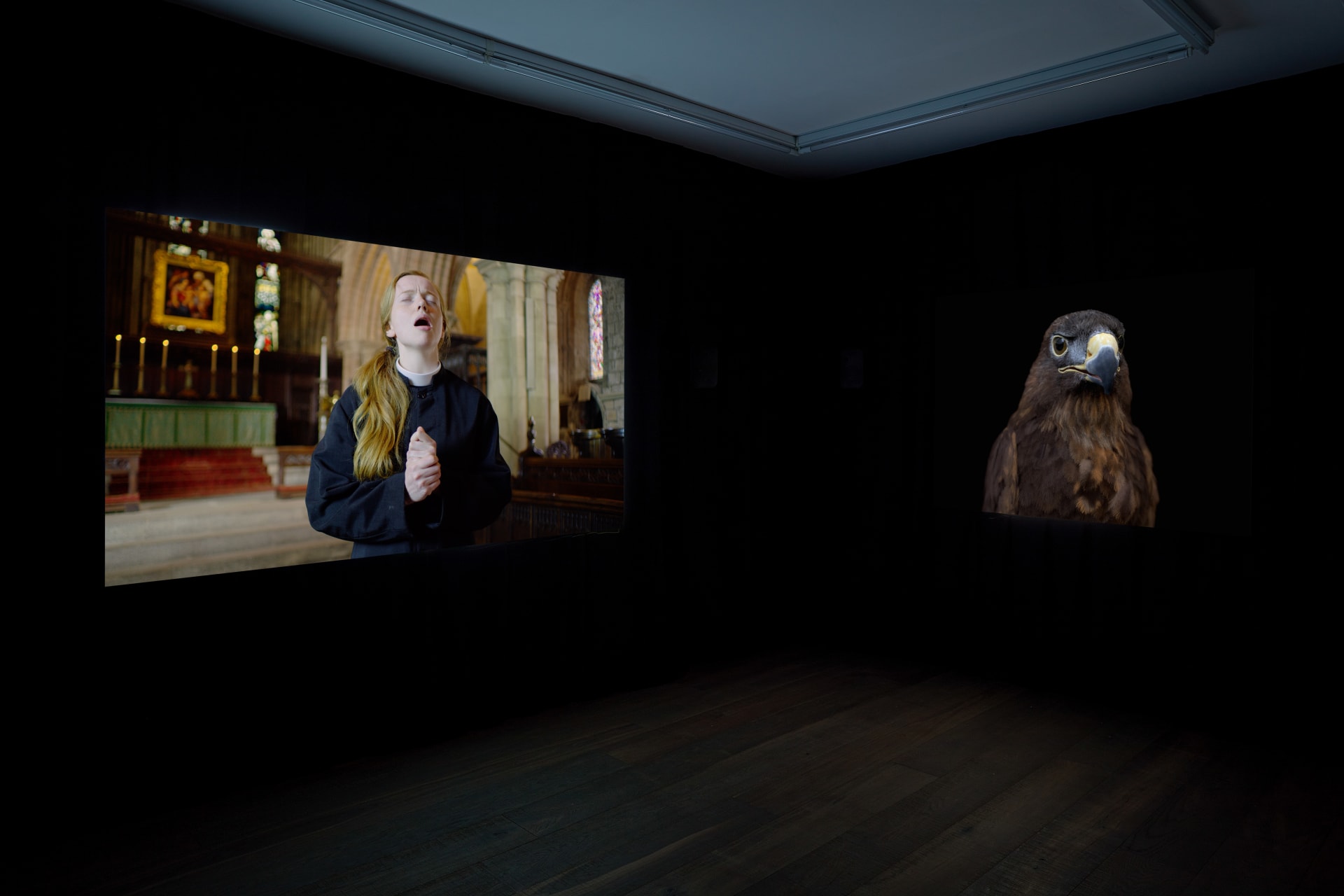 Installation photographs of Matt Stokes' exhibition 'This Liberty' at Workplace | London