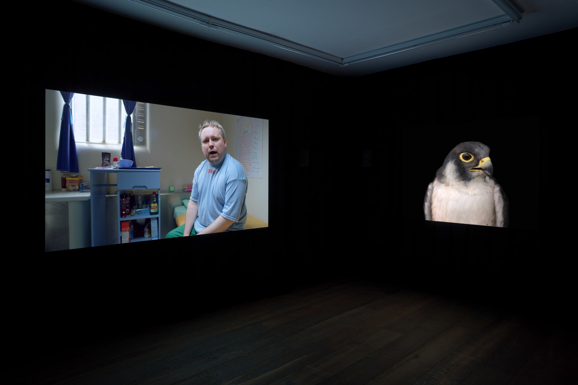 Installation photographs of Matt Stokes' exhibition 'This Liberty' at Workplace | London