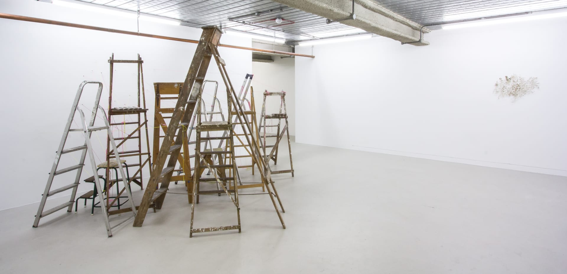 Installation documentation of Jo Coupe: All That Fall / Joseph Beuys: Wirtschaftswert at Workplace | London