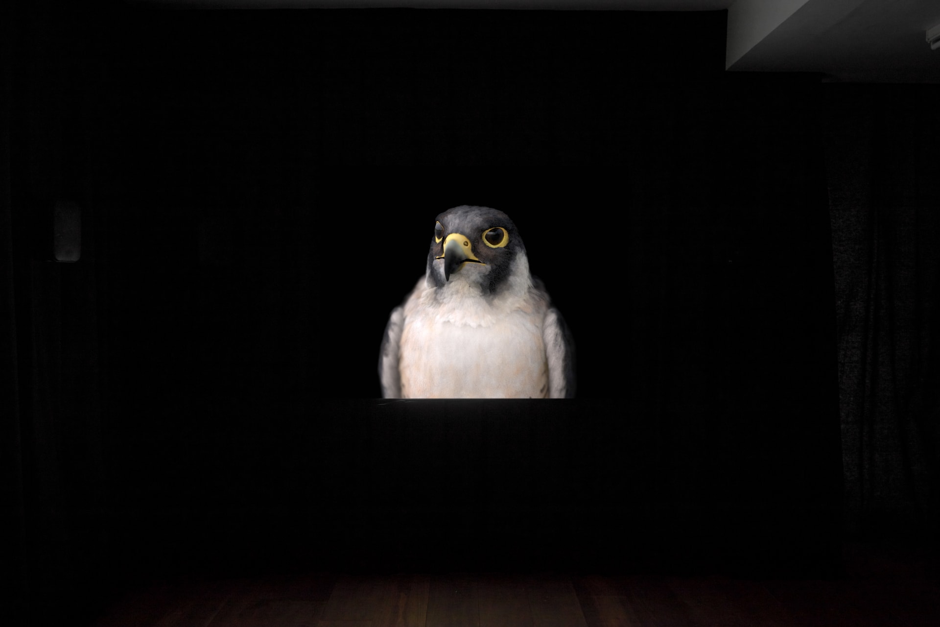 Installation photographs of Matt Stokes' exhibition 'This Liberty' at Workplace | London