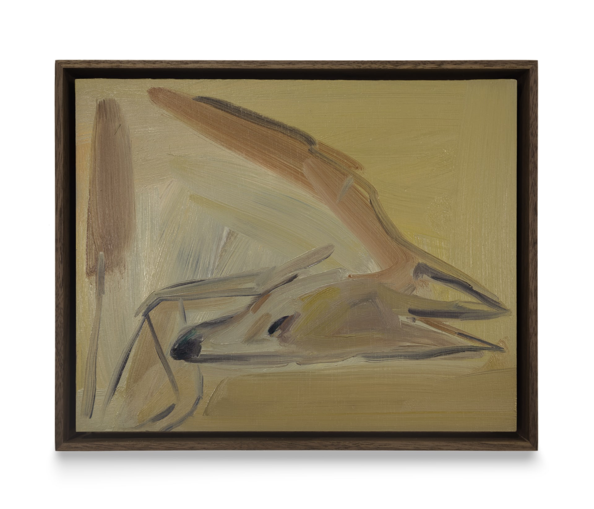 A painting by Eve Ackroyd of a sleeping dog in orange brown colour. 