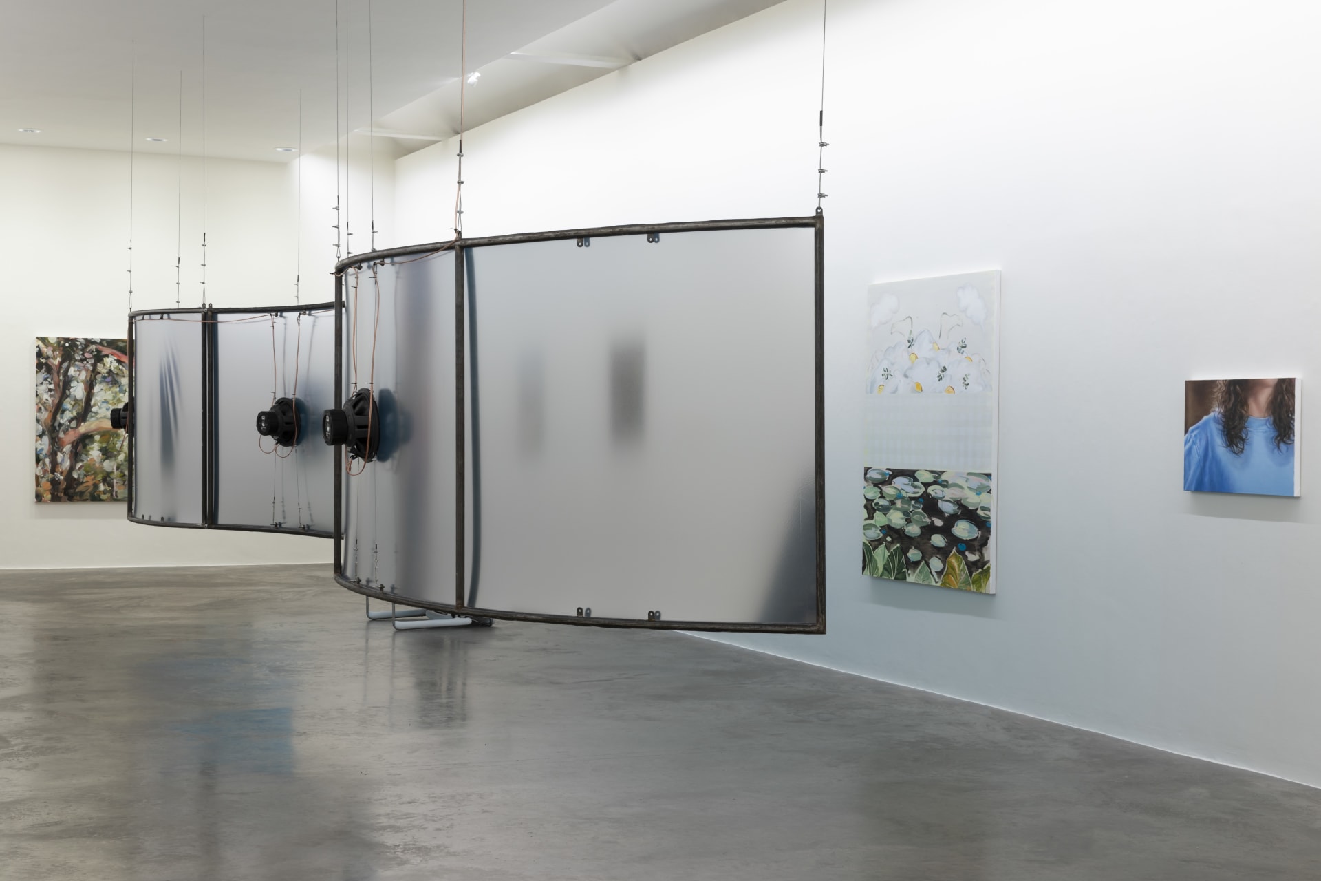 Installation view of 'Pictures Of You' - curated by Miles Thurlow, at Kerlin Gallery, Dublin