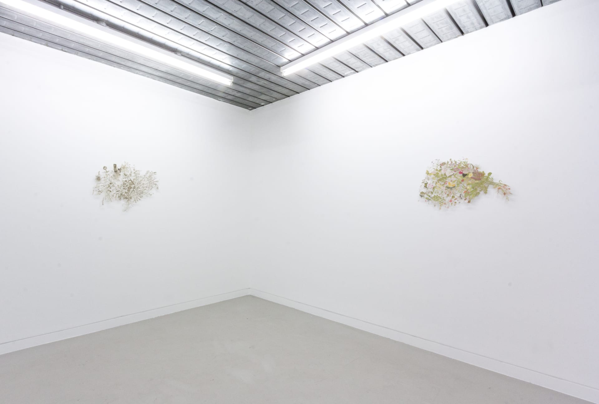 Installation documentation of Jo Coupe: All That Fall / Joseph Beuys: Wirtschaftswert at Workplace | London