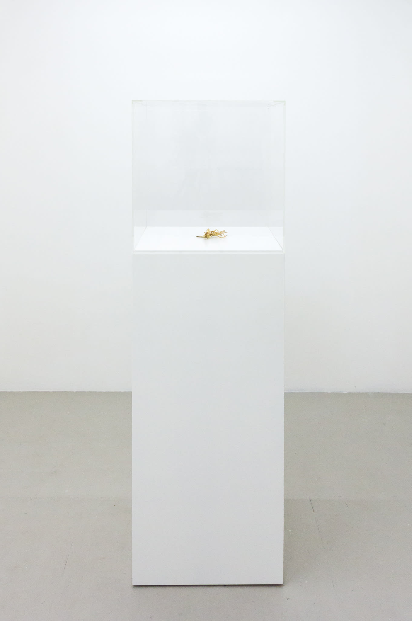 Installation documentation of Jo Coupe: All That Fall / Joseph Beuys: Wirtschaftswert at Workplace | London