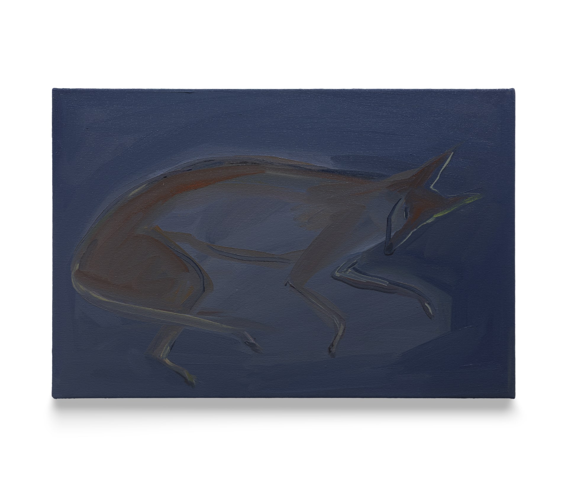 A painting by Eve Ackroyd of a dog lying down