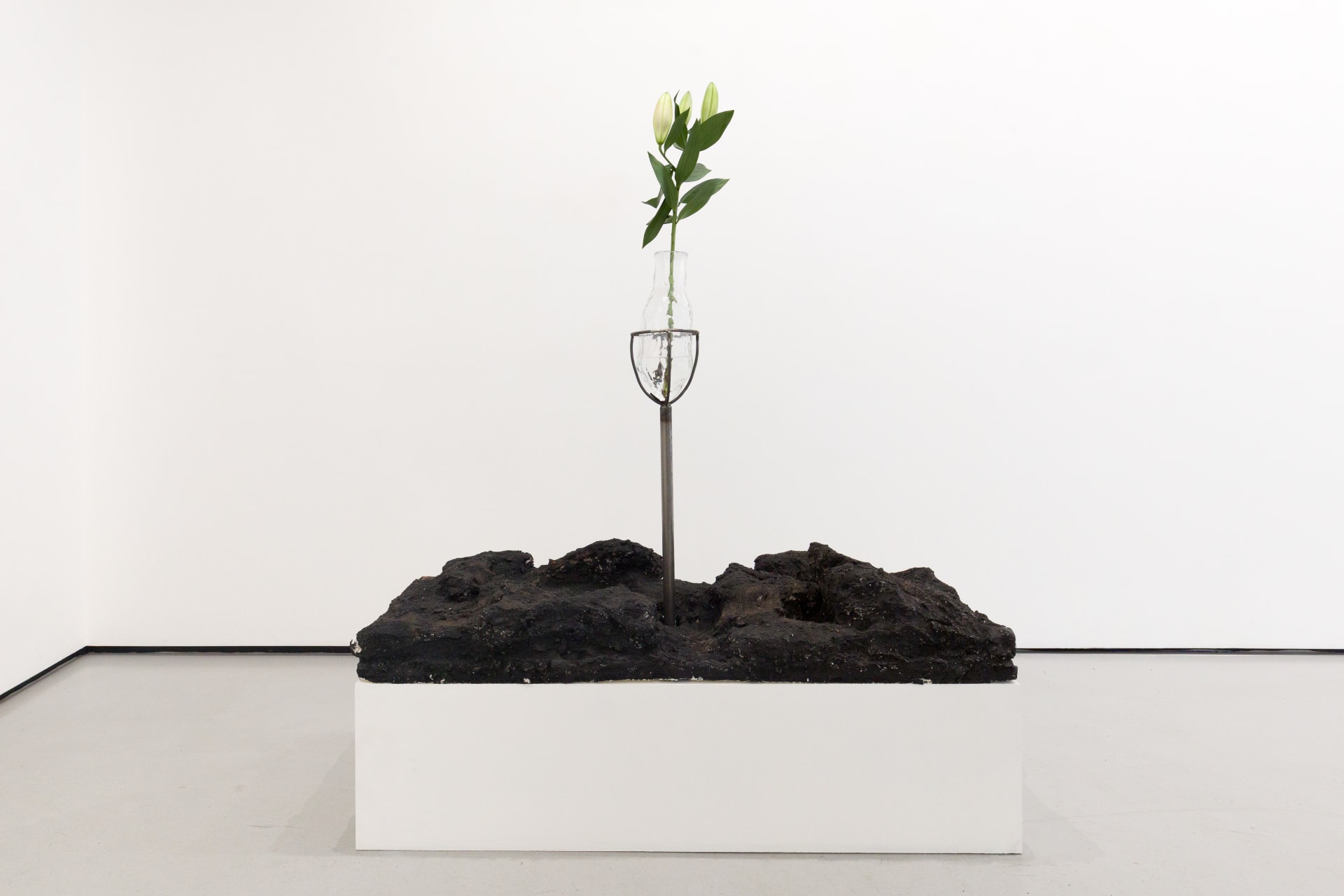 Blown glass vessels with lily flowers are held by metal structures above volcanic rock-like strata in this sculpture by Emii Alrai