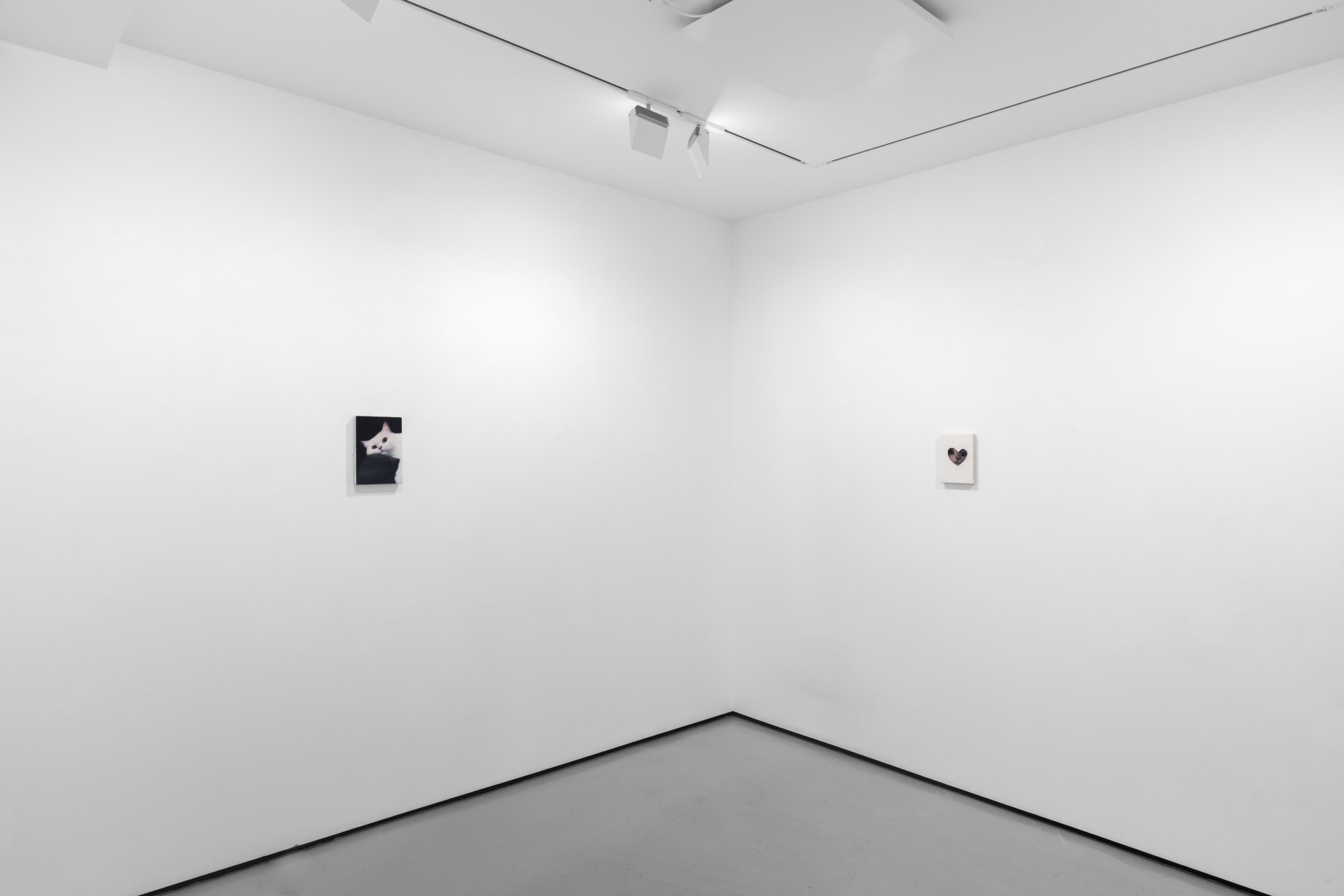 Installation views of Joseph Jones - Focus presentation at Workplace London