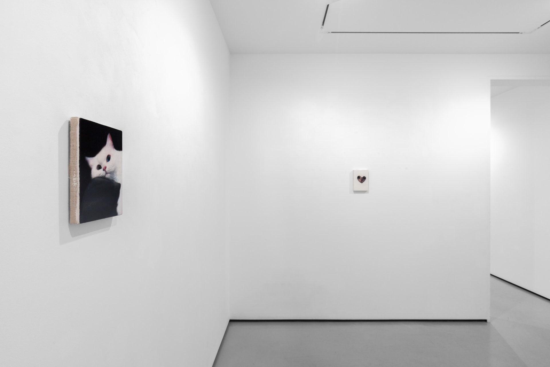 Installation views of Joseph Jones - Focus presentation at Workplace London