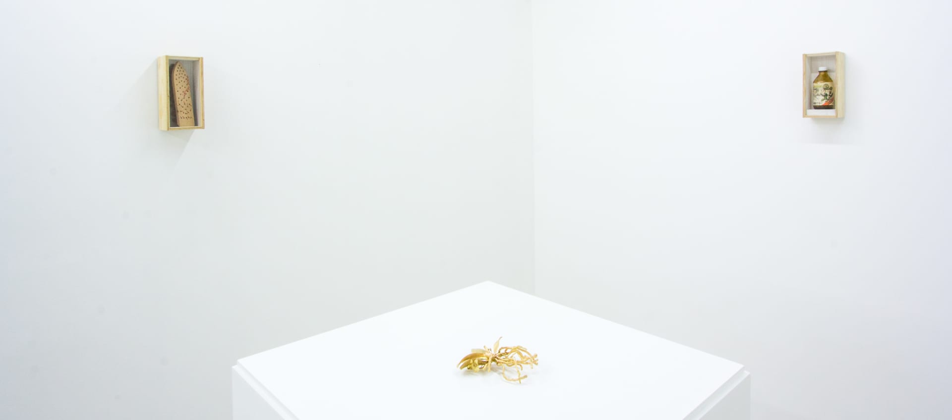 Installation photographs of Joseph Beuys: Wirtschaftswert at Workplace | London