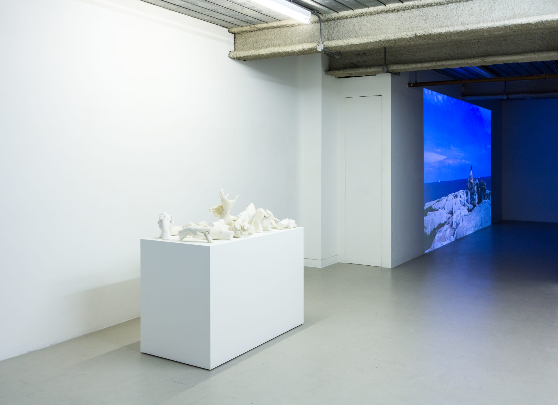 Installation photographs of Marcus Coates' exhibition 'The Last of Its Kind' at Workplace in Mayfair