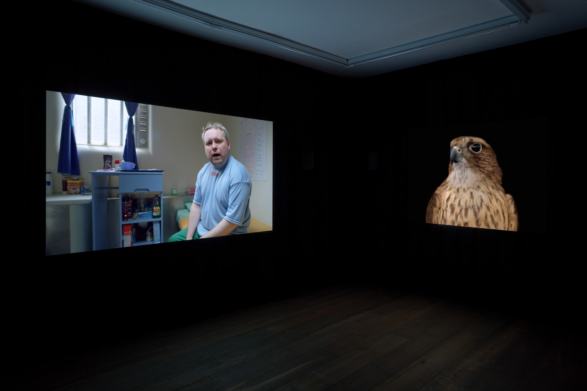 Installation photographs of Matt Stokes' exhibition 'This Liberty' at Workplace | London
