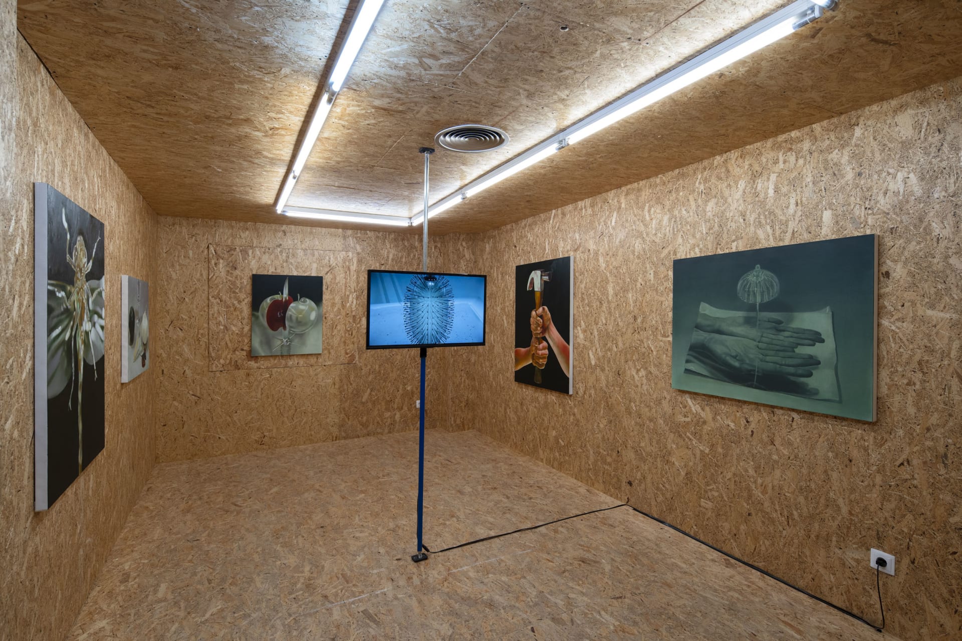 An exhibition of paintings and a video by Robin Megannity in a chipboard clad gallery space