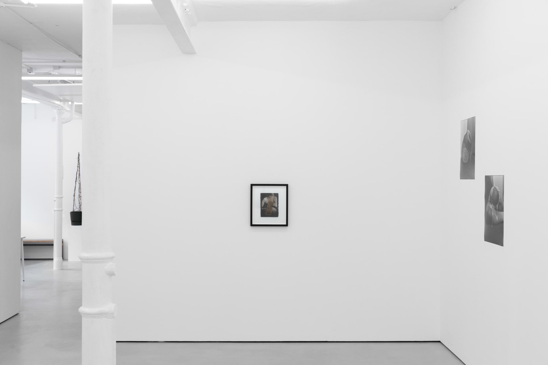 installation photos of 'Still Moving' at Workplace | Newcastle