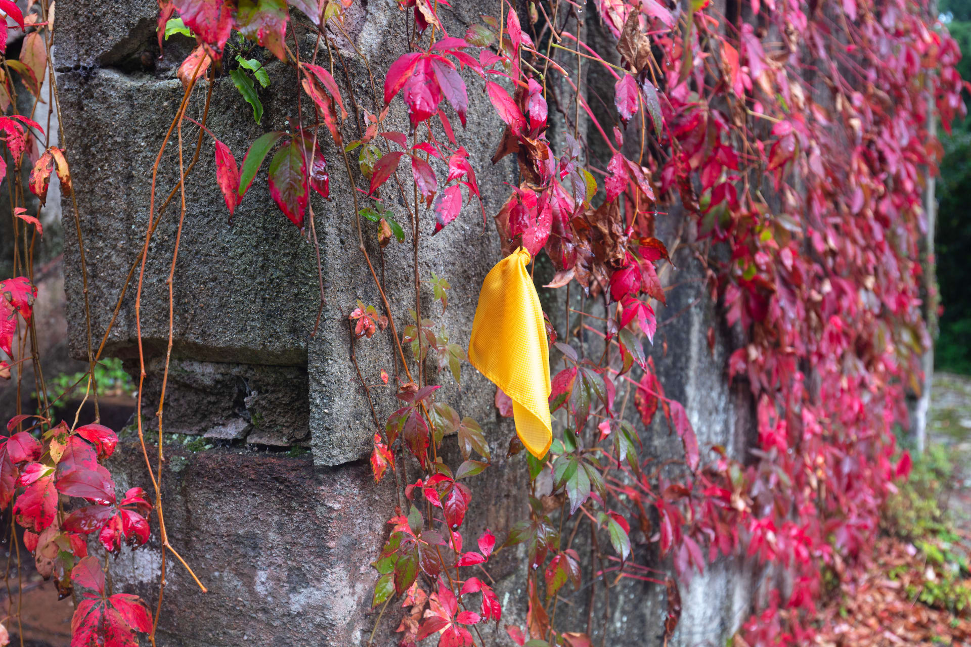 Artworks by James Cabaniuk installed outside in a lush green garden