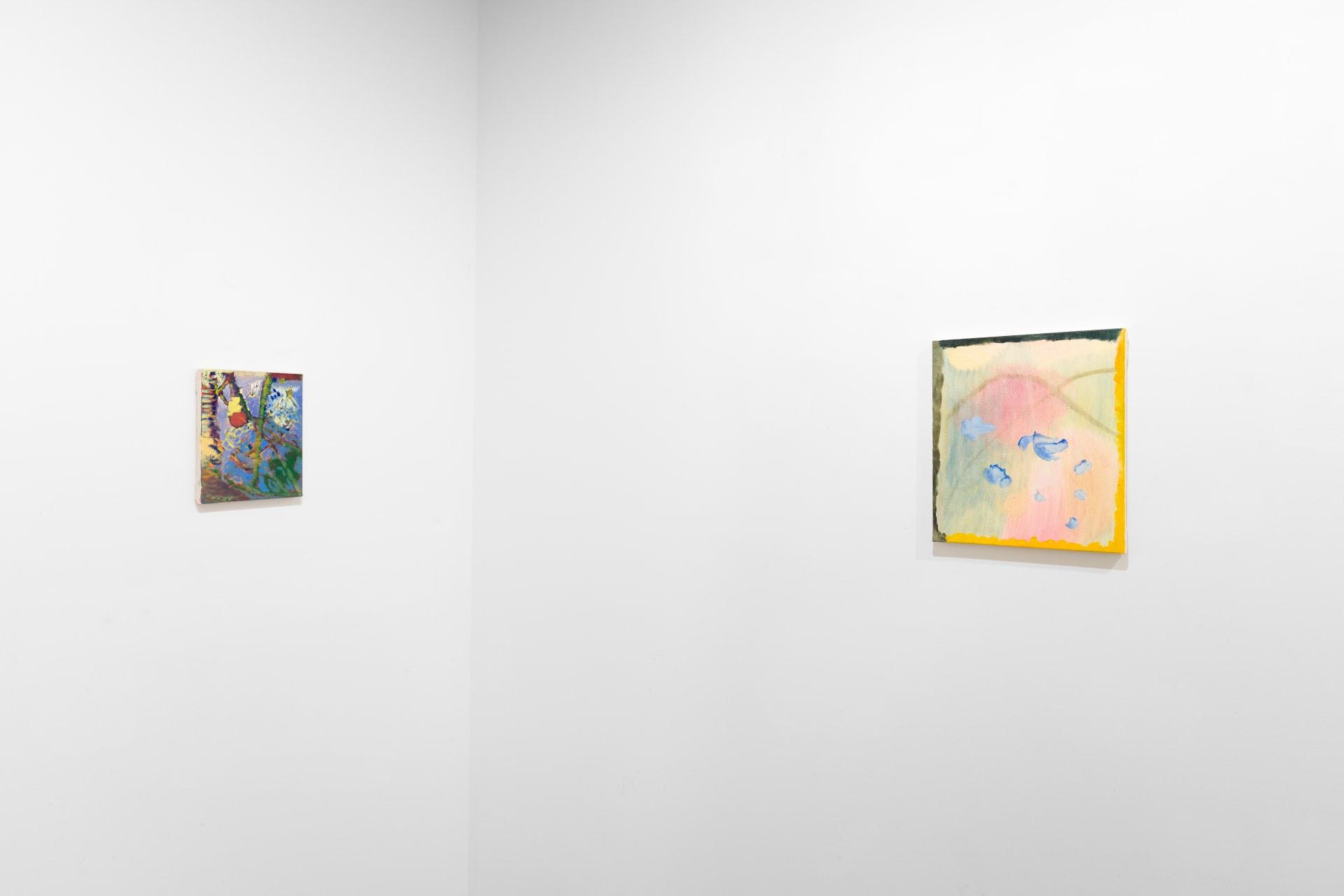 Installation image of Focus with Amy Winstanley