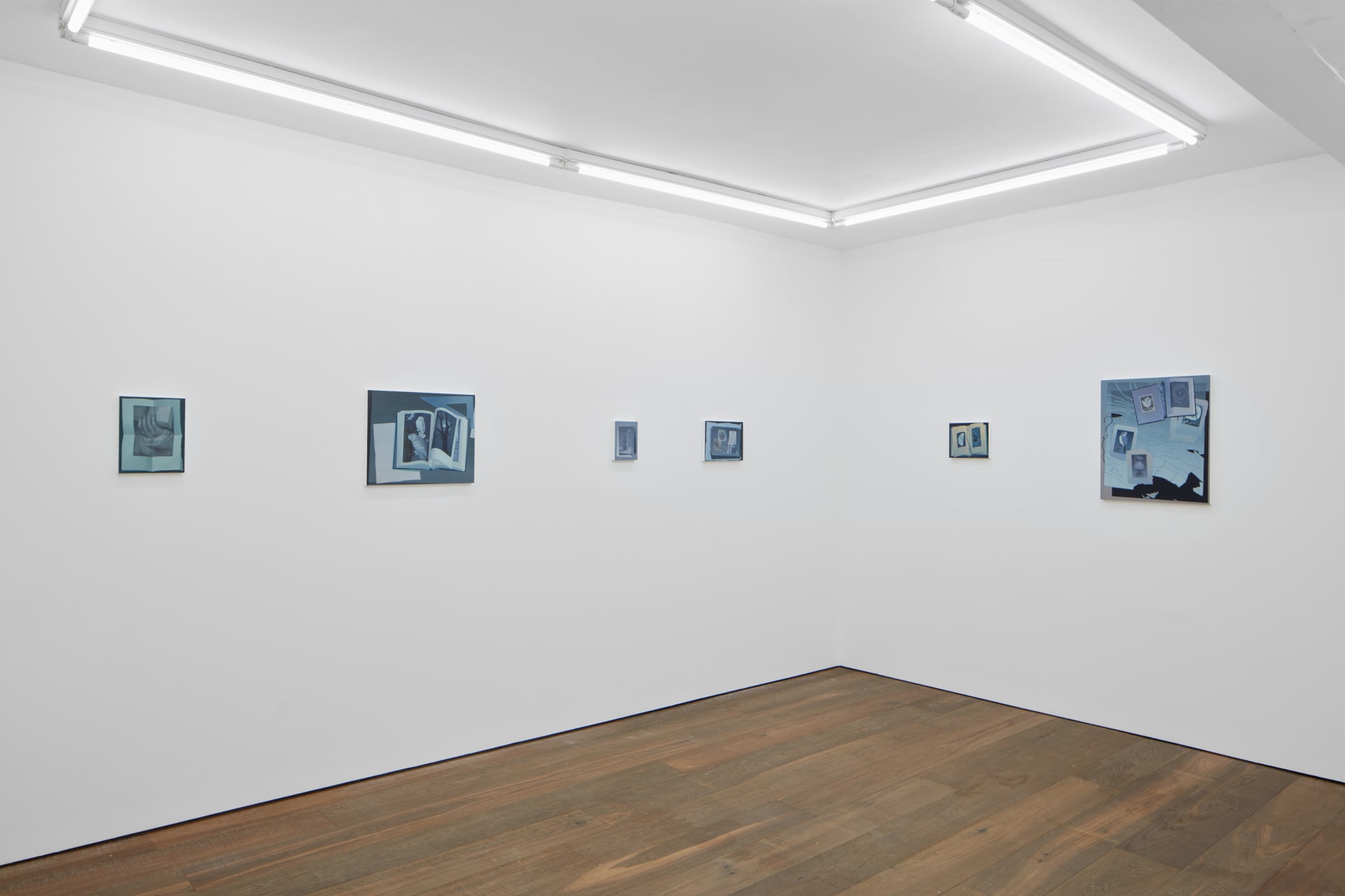 Installation shots of Olivia Jia's solo exhibition Ex Libris, at Workplace | London