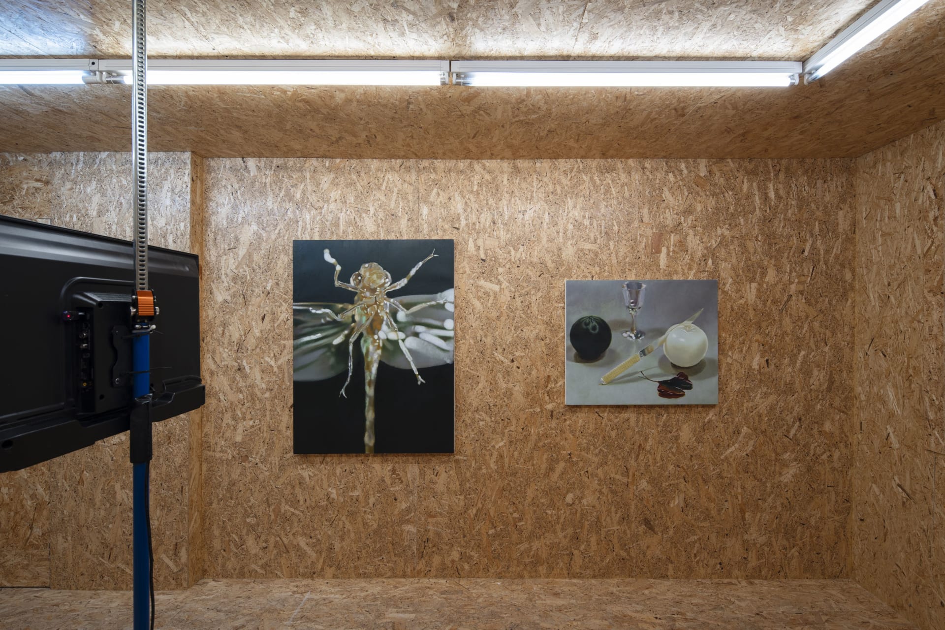 An exhibition of paintings and a video by Robin Megannity in a chipboard clad gallery space