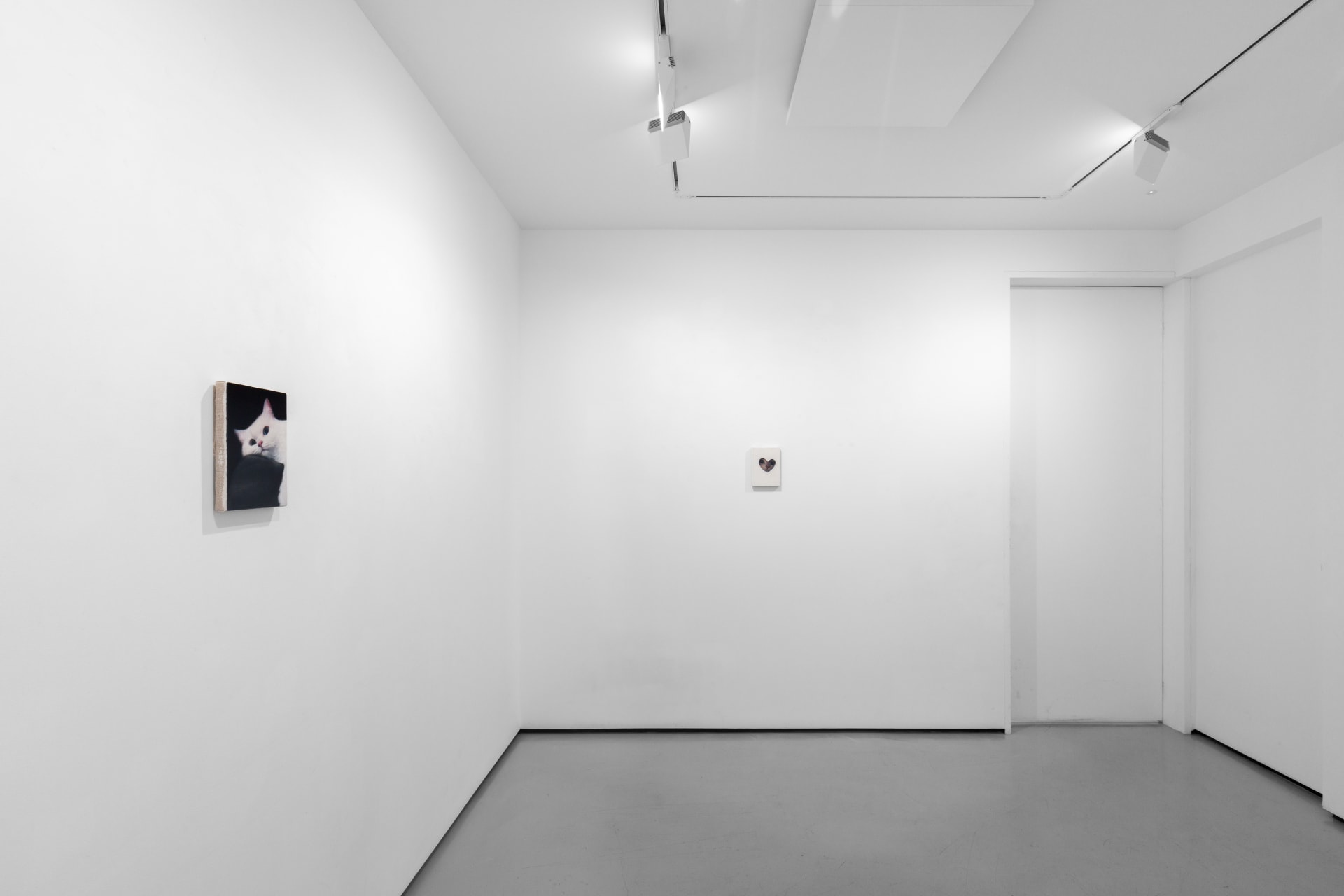 Installation views of Joseph Jones - Focus presentation at Workplace London