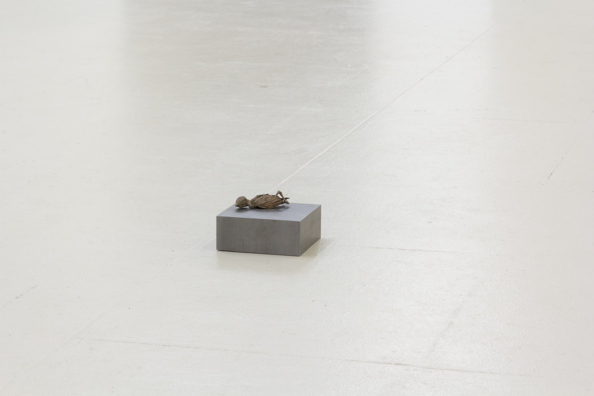 Installation documentation of Jo Coupe: All That Fall / Joseph Beuys: Wirtschaftswert at Workplace | London