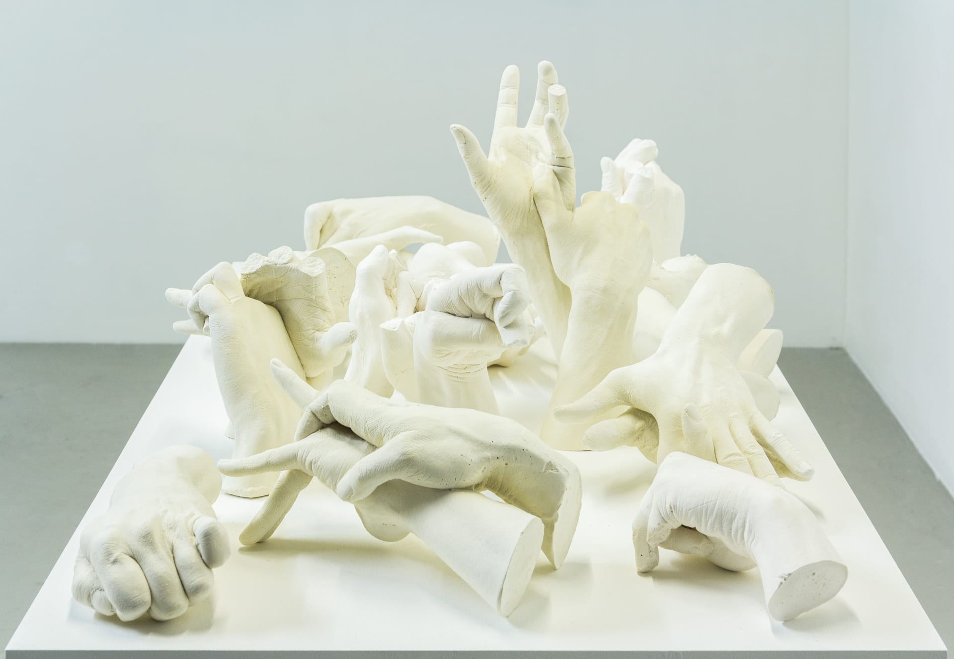 Installation photographs of Marcus Coates' exhibition 'The Last of Its Kind' at Workplace in Mayfair