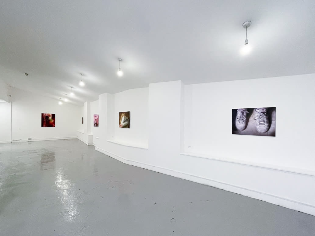 Installation images of Rachel Lancaster's exhibition at Elysium Gallery, Swansea