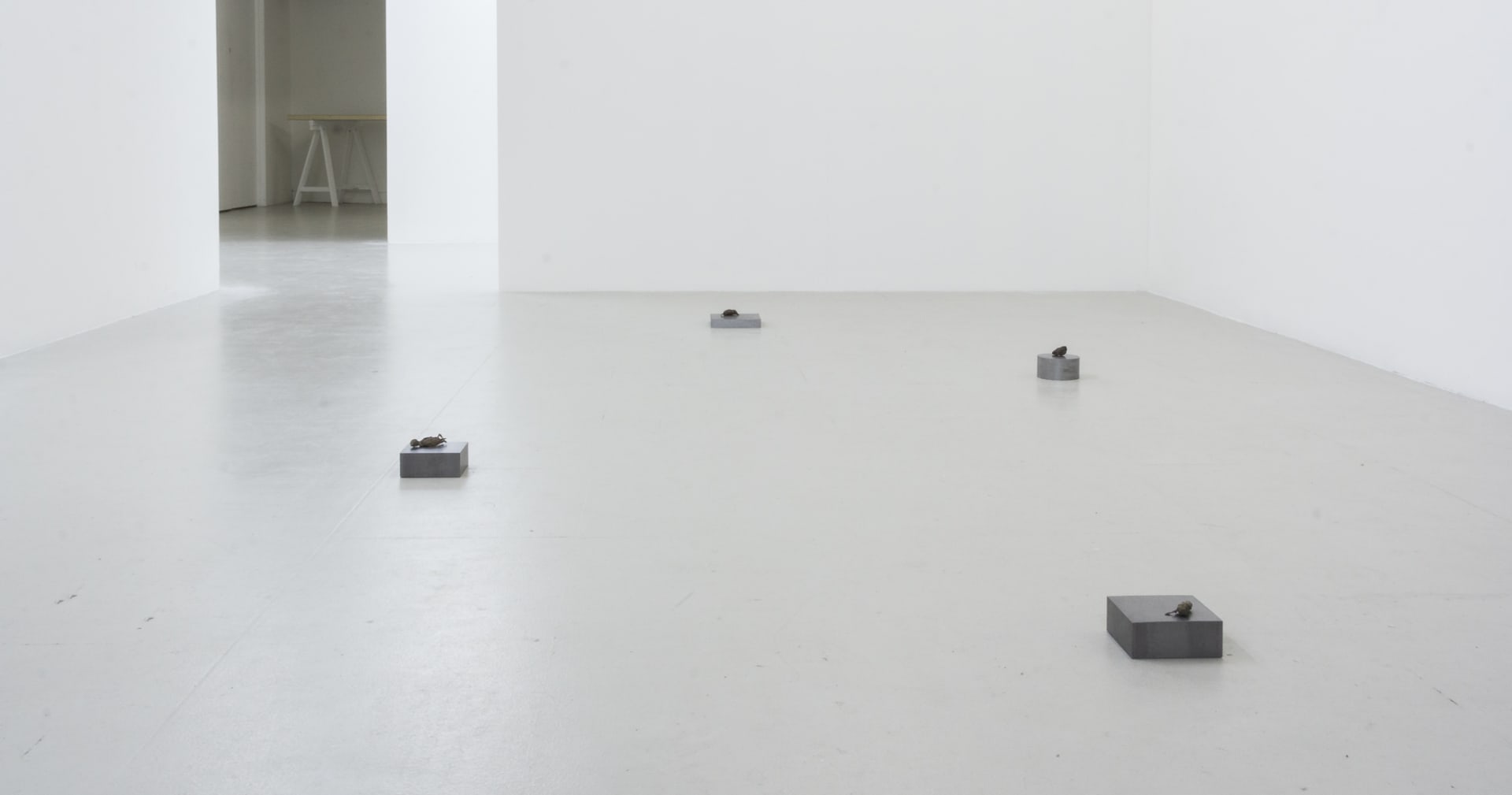 Installation documentation of Jo Coupe: All That Fall / Joseph Beuys: Wirtschaftswert at Workplace | London