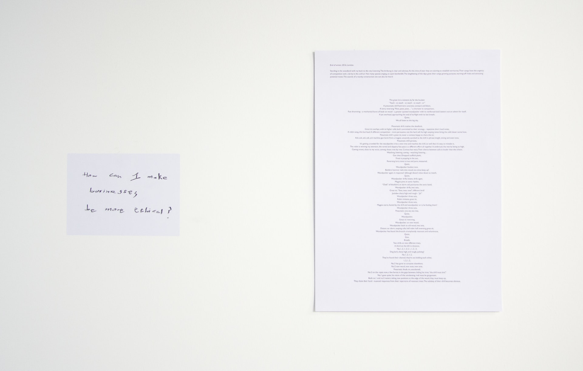 Installation images of Marcus Coates at Workplace | London