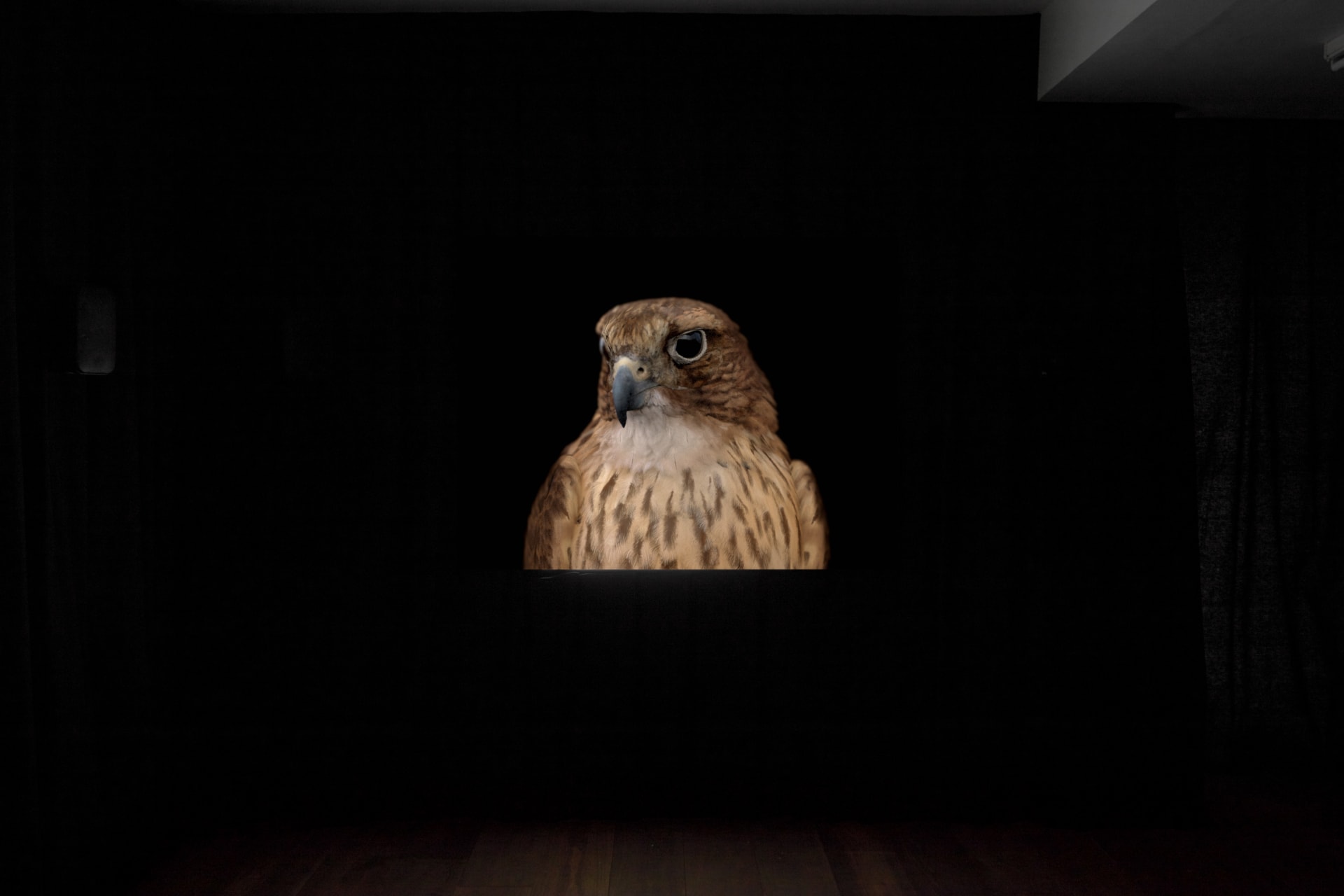 Installation photographs of Matt Stokes' exhibition 'This Liberty' at Workplace | London