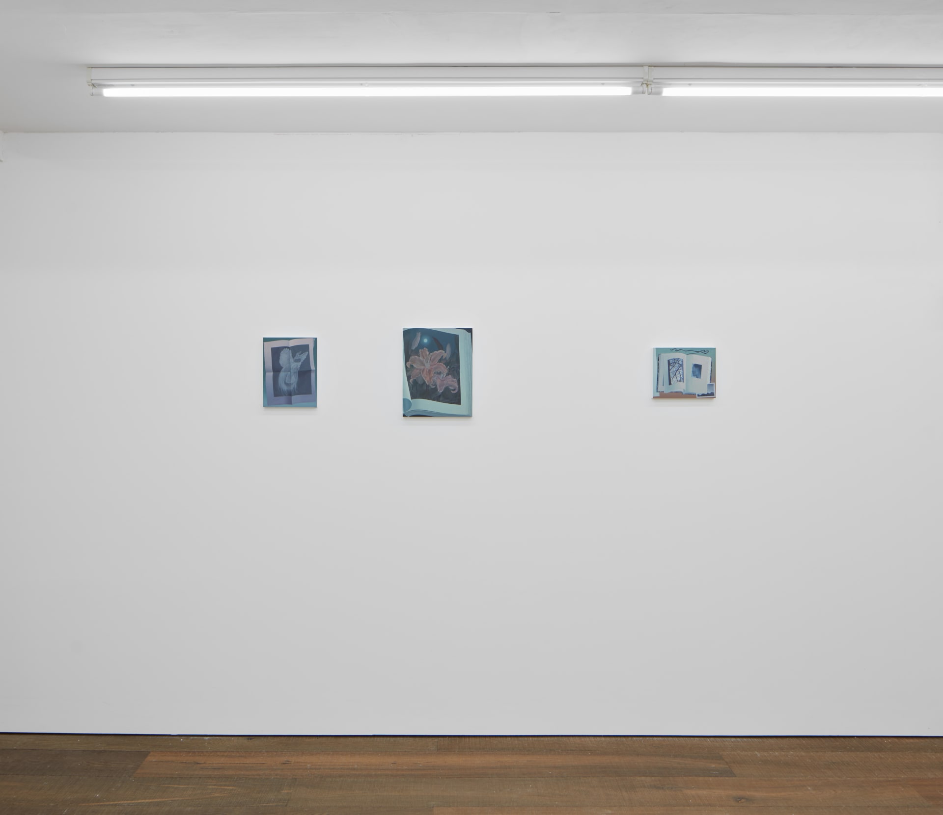 Installation shots of Olivia Jia's solo exhibition Ex Libris, at Workplace | London