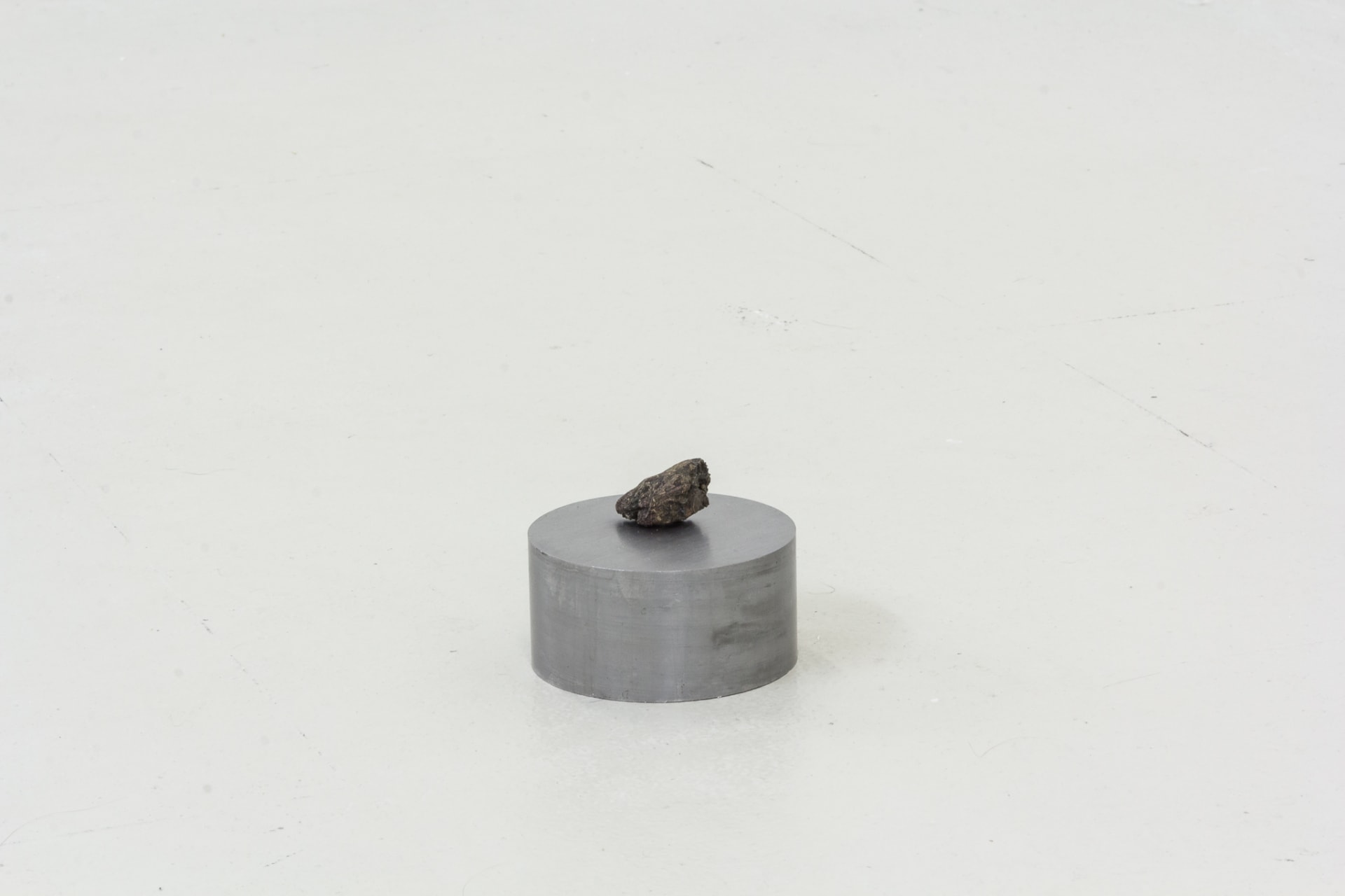 Installation documentation of Jo Coupe: All That Fall / Joseph Beuys: Wirtschaftswert at Workplace | London