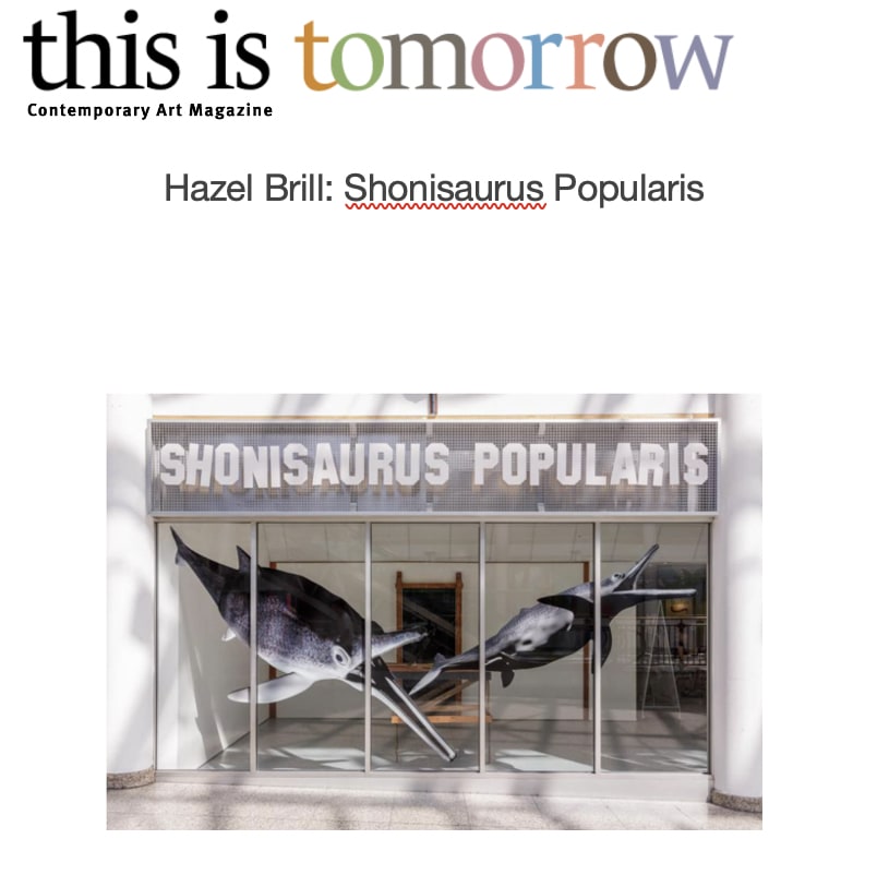 Contemporary Art Magazine Article cover about Hazel Brill with an image of an art installation in a gallery window with suspended whale sculptures