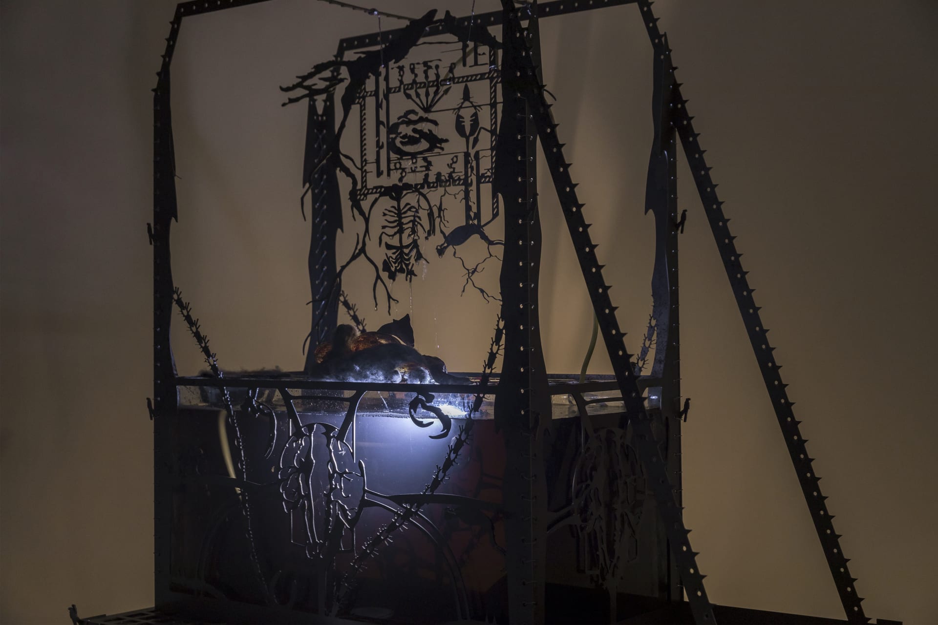 An installation by Hazel Brill including a water tanks filled with a dark liquid laser cut steel dividers, mouth-blown glass objects, projections and lights