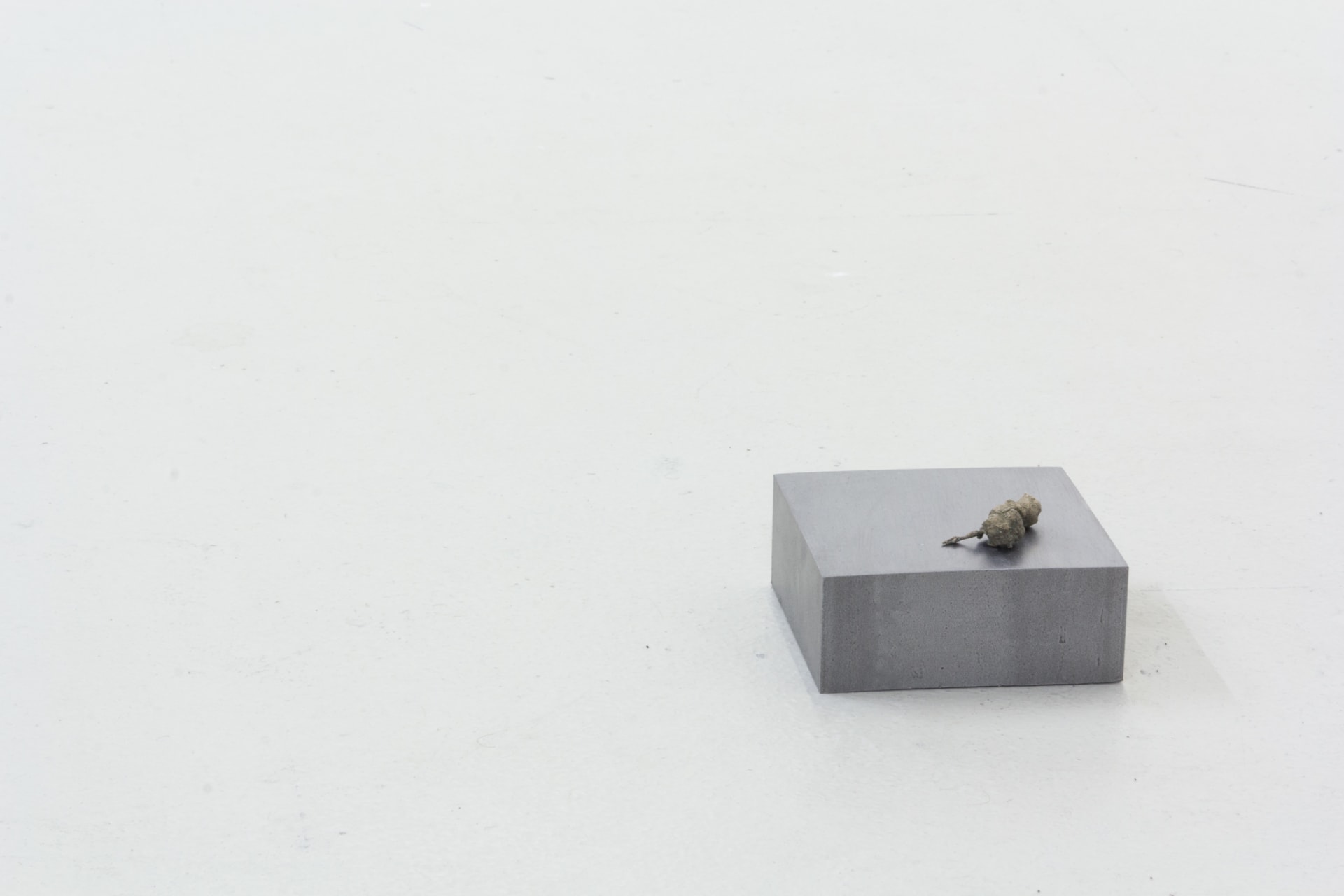 Installation documentation of Jo Coupe: All That Fall / Joseph Beuys: Wirtschaftswert at Workplace | London