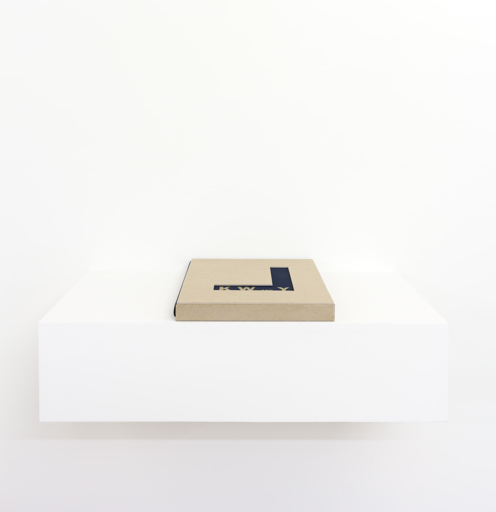 Installation documentation from 'Later Is Now' a group exhibition curated by Hugo Canoilas at Workplace | London