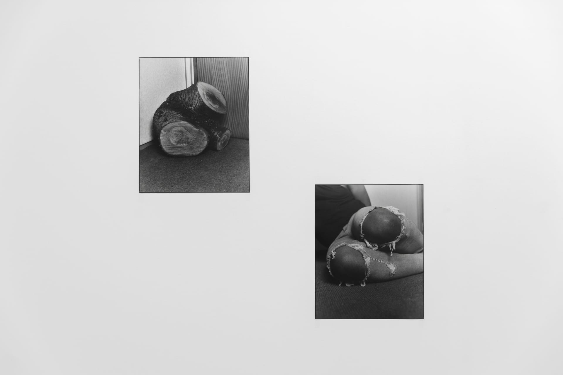 installation photos of 'Still Moving' at Workplace | Newcastle