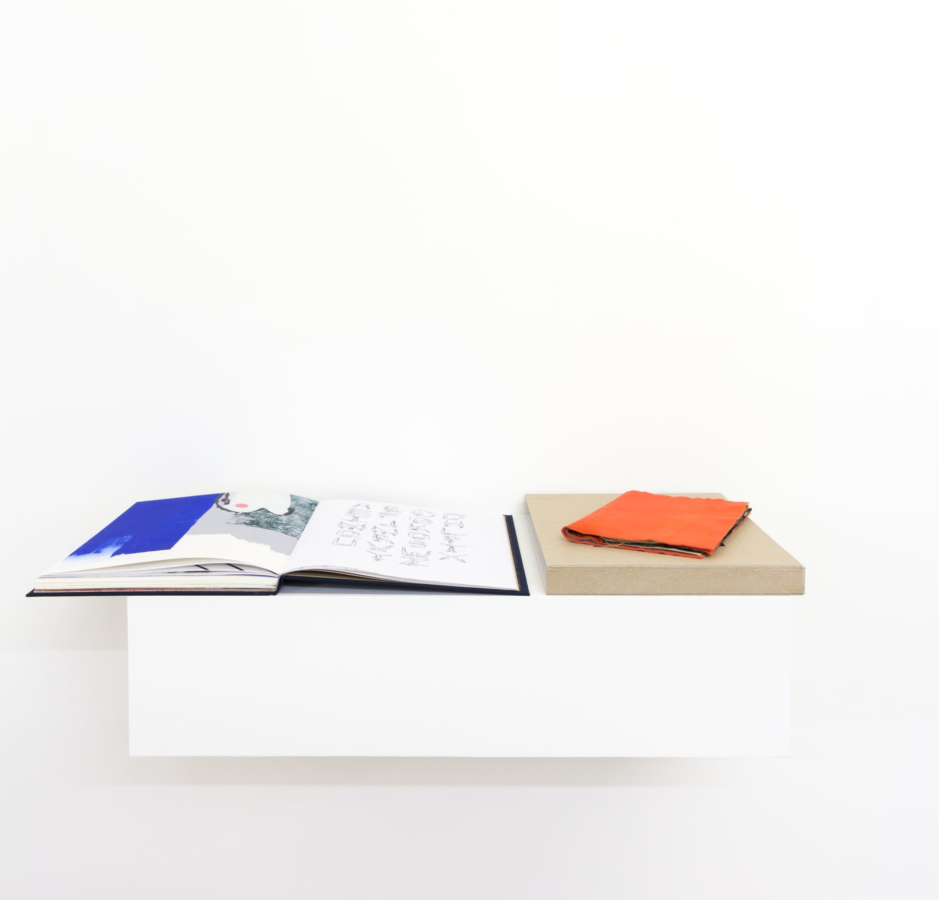 Installation documentation from 'Later Is Now' a group exhibition curated by Hugo Canoilas at Workplace | London