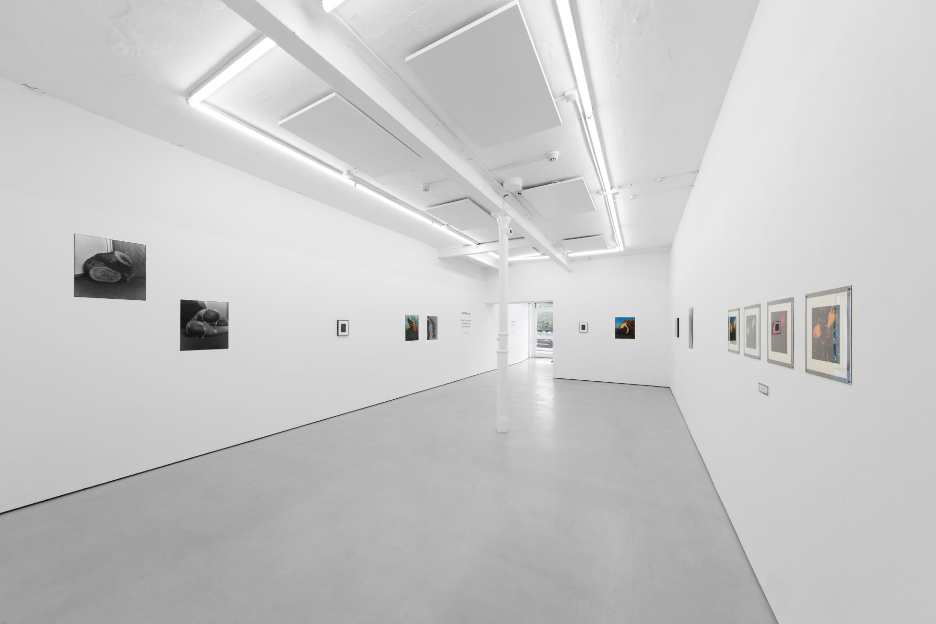 installation photos of 'Still Moving' at Workplace | Newcastle